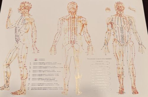 Meridians TCM