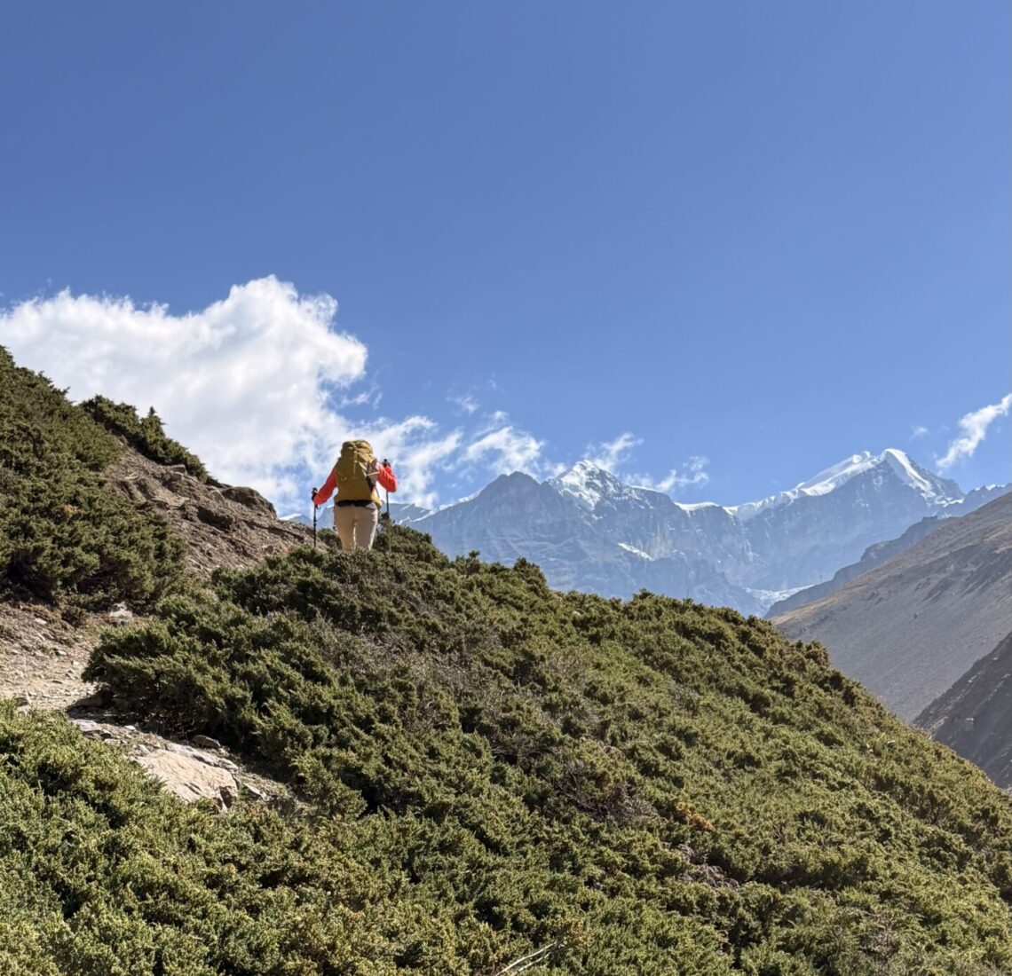 hiking