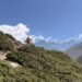 hiking